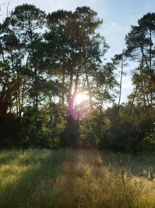 빌란드라우트 Bienvenue En Sud Gironde 빌라 외부 사진